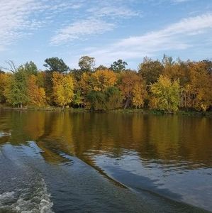 Meet your Posher, Dorothy